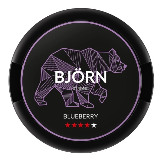 Bjorn Woreczki Nikotynowe Blueberry Strong