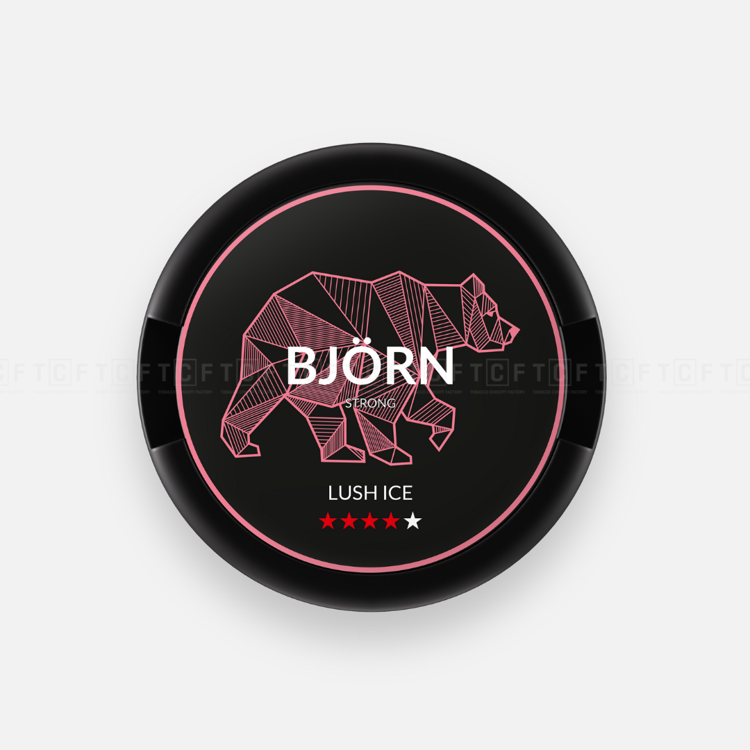 Bjorn Woreczki Nikotynowe Lush Ice Medium