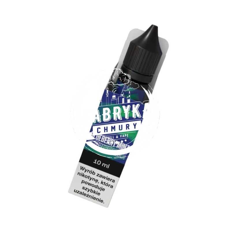Vjuice GO Blueberry Mint 06mg/10ml
