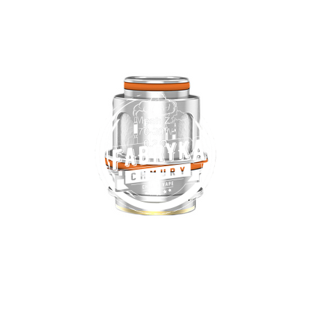 Geekvape Z 0.2 OHM XM Boost Coil