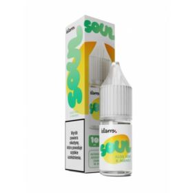Klarro Soul Salt (Aloe Vera Mango)
