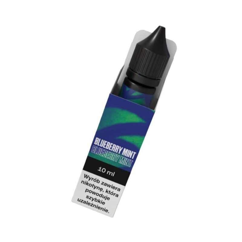 Vjuice GO Blueberry Mint 06mg/10ml